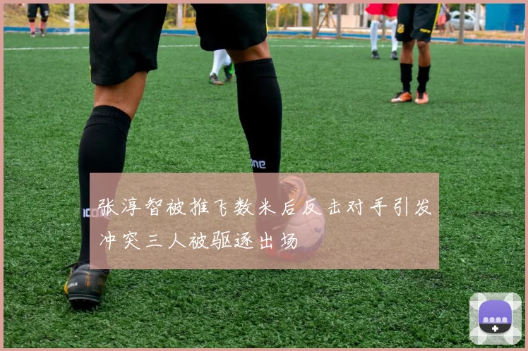 张淳智被推飞数米后反击对手引发冲突三人被驱逐出场